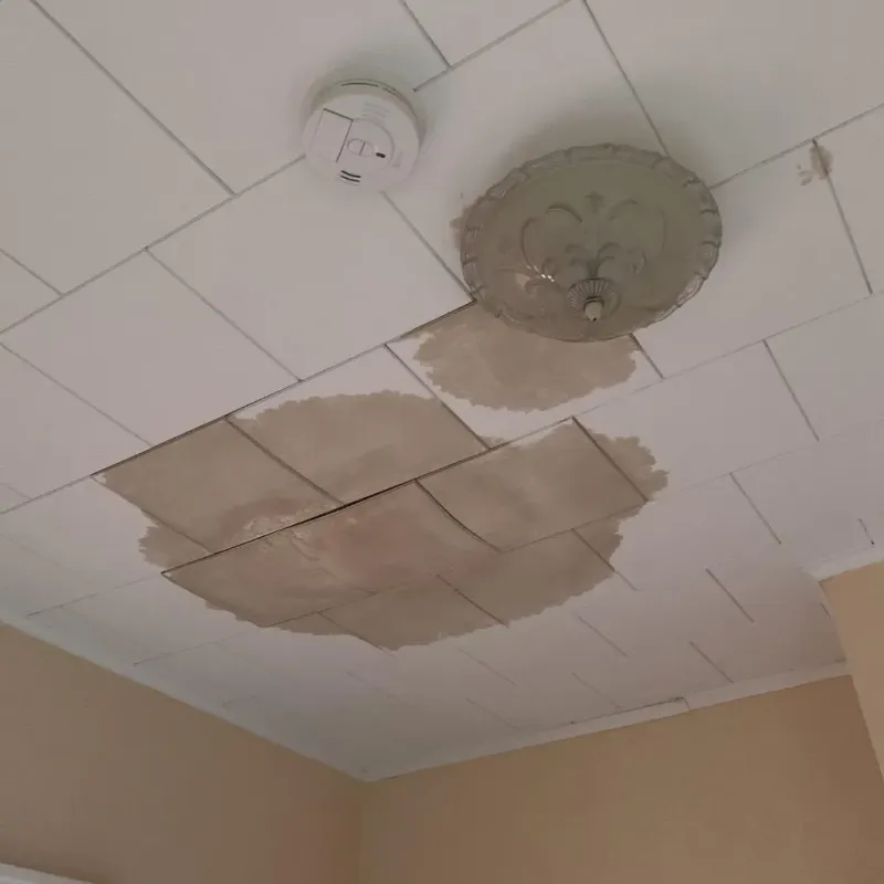 Ceiling Water Damage Repair in Monroe, NY